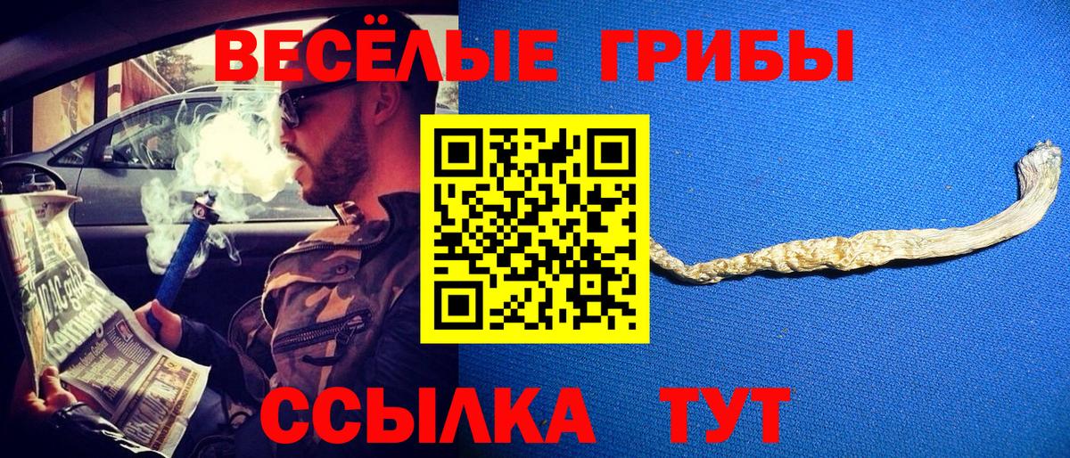 Галлюциногенные грибы GOLDEN TEACHER  Псилоцибиновые грибы Psilocybe  Северск  что такое наркотик  Вход с VPN 