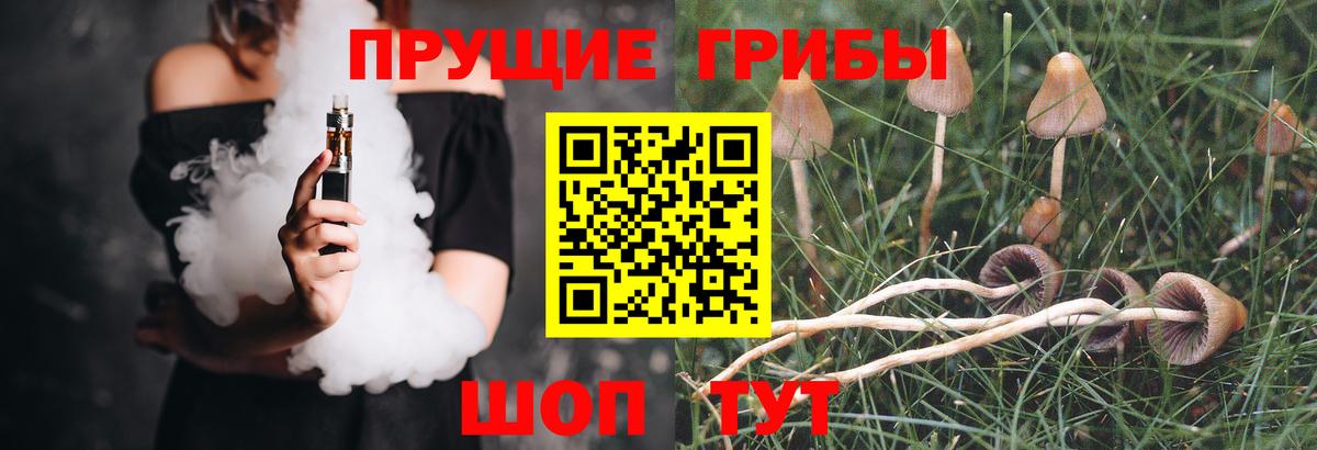 Псилоцибиновые грибы мицелий Северск